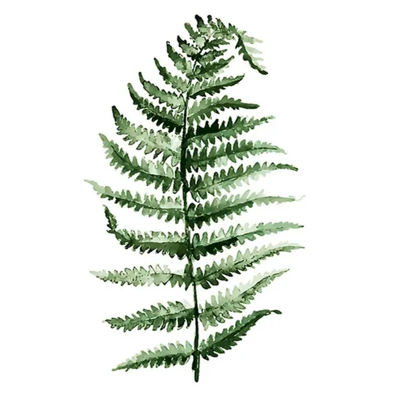 3513叶子系列（二）