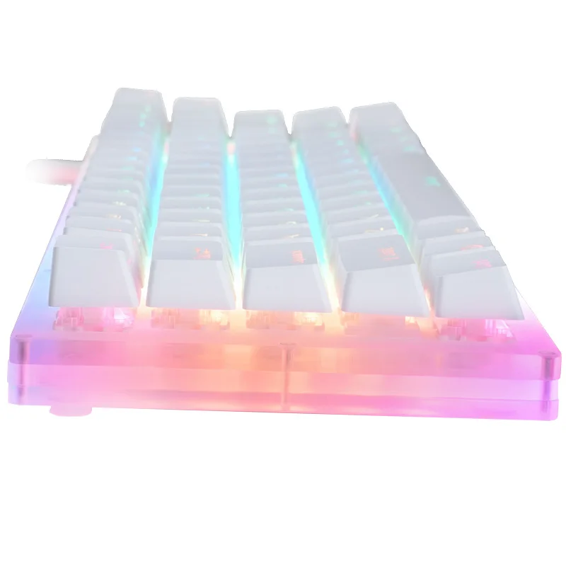 Keyboard 66Key Tyce-C Wired RGB Backlit Gateron Switch Mechanical Gaming Keyboard With Crystal Base For PC Laptops