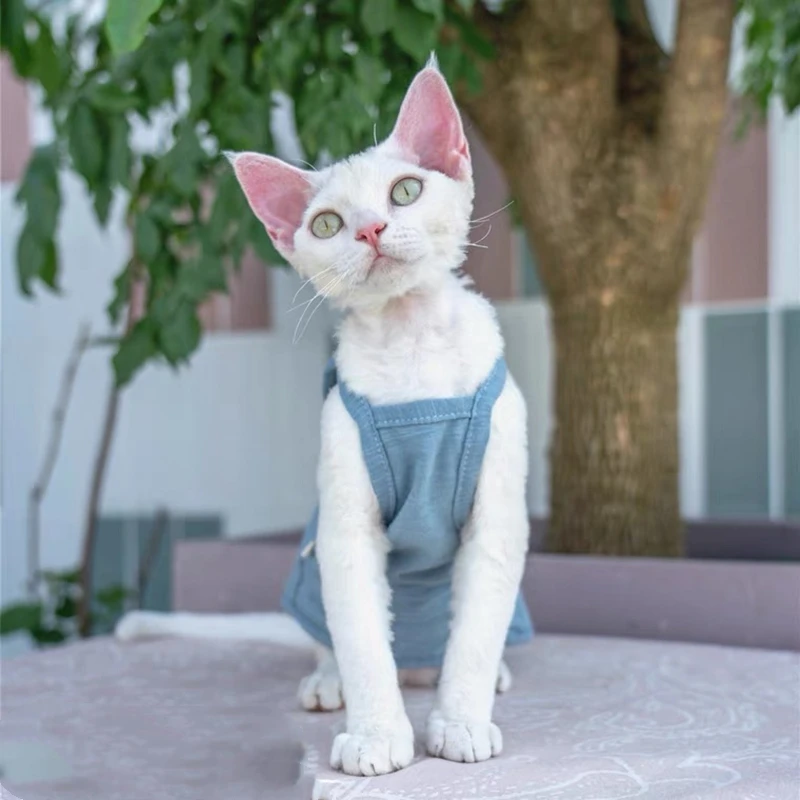 Hairless Cat Summer T-Shirt Vest – Sleeveless Cotton Pullover For Sphynx, Devon Rex Cats (Navy Blue, XL) - View #2