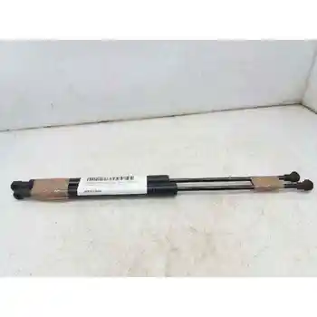 

9683733980 SHOCK ABSORBERS TRUNK PORTON CITROEN C3