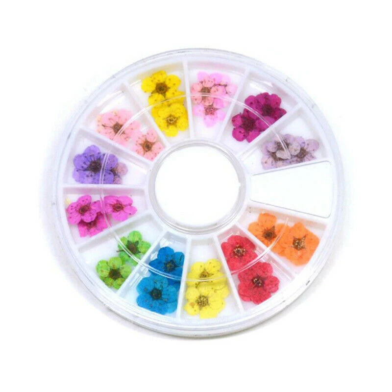 

DIY 12 Colors Dried Flower Flower For Nail Art Decorations Natural Dry Flowers Wheel Manicure Tools Simple Operation Interesting