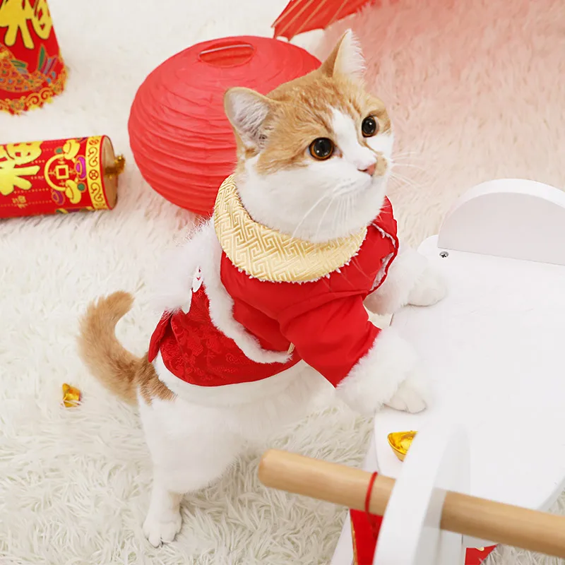 Hoopet одежда для домашних животных, котов, пальто для собак, костюм плюшевого медвежонка, щенка, маленькой собаки, платье, одежда для кошек