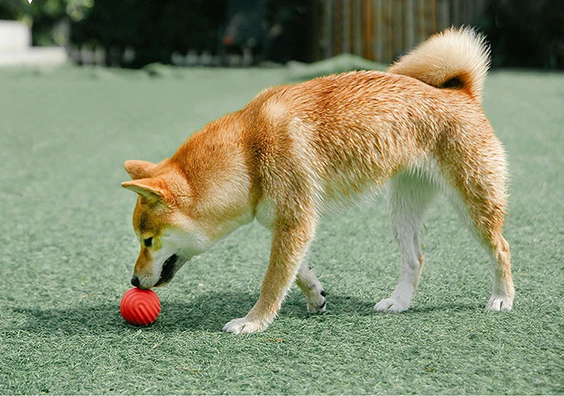 HOOPET игрушки для собак Забавный интерактивный эластичный шарик собака котенок щенок игрушка для собаки