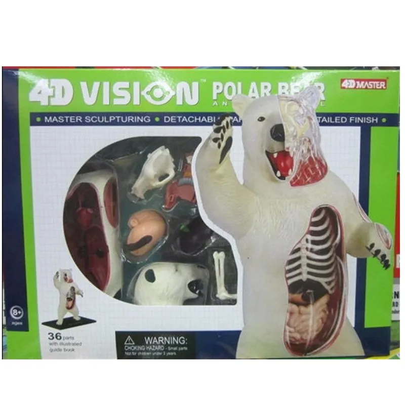 Trend Puzzle Toys organ s of White Bear внутренний вид разложение органное Искусство ПВХ фигурка Коллекция Модель игрушки B85