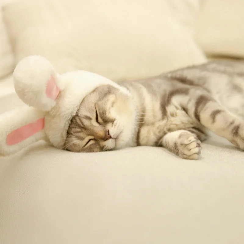 Забавная шапка для питомца, собаки, кошки, костюм, теплая шапка с кроликом, новогодние, вечерние, рождественские аксессуары для косплея, реквизит для фотосессии, головные уборы, товары для домашних животных