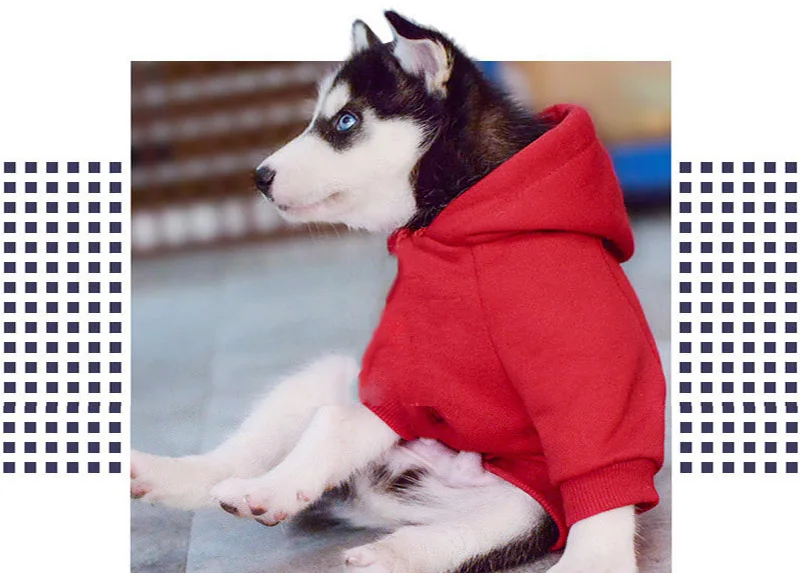 Hc7e1617506dc49028276aa0c556ce5bcd.jpg?width=800&height=573&hash=1373