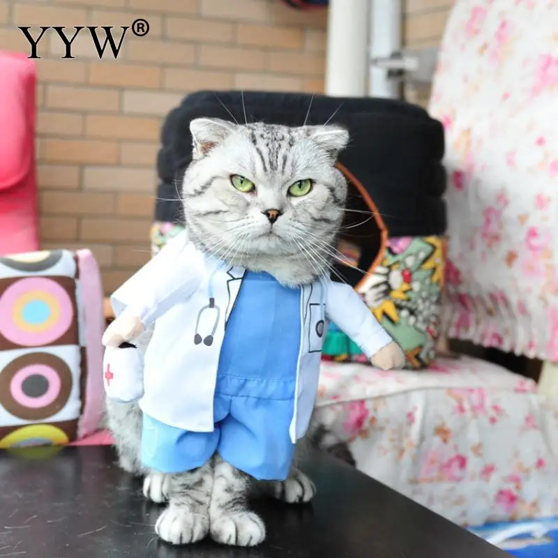 pf50 Творческий Pet Костюмы забавные кота собаки одежда, костюм для Хэллоуина полиэстер пальто для щенка кошки для маленькая кошка собака собаки чихуахуа одежда - Цвет: pf50