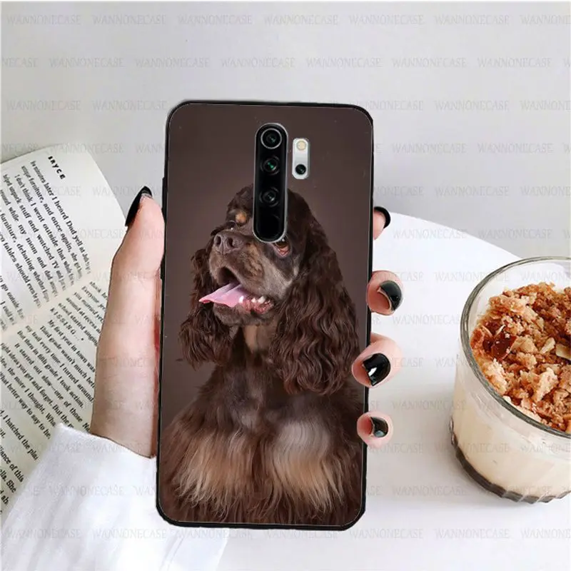 harper cocker spaniel hellip dog puppies