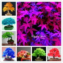 Ограниченное по времени предложение, промо-Акция! 30 шт./пакет ЯПОНСКИЙ клен, сад, 13; смешанные цвета; мини-дерево бонсай цветок, растение, свадебная брошь+ подарок на год
