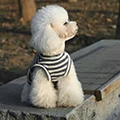 BELLHANG PetSupplies Store
