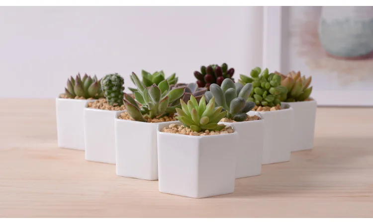 H56bb07b4496741e79414f992d5fa6449y