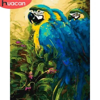

HUACAN Painting By Number Parrot Drawing On Canvas HandPainted Painting Art Gift DIY Pictures By Number Animal Kits Home Decor