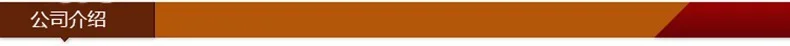 公司介绍
