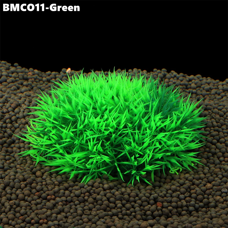 BMCO11 (4)