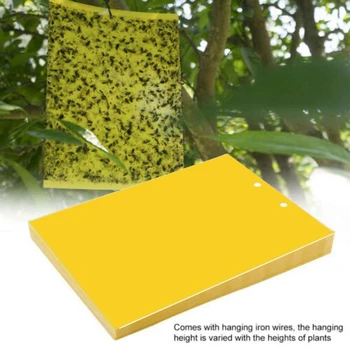 

20/40 Pcs Sticky Fly Trap Paper With Binding Wire Garden Accessories Hanging Double Sides Flies Catcher Sticker Drop Shipping