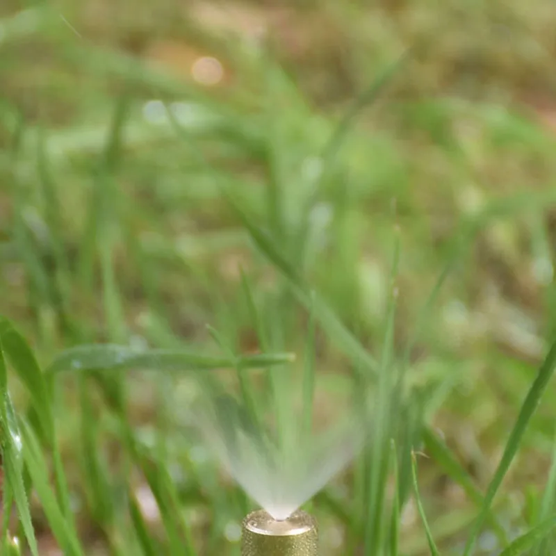 HTB1I7IdooR1BeNjy0Fmq6z0wVXaN