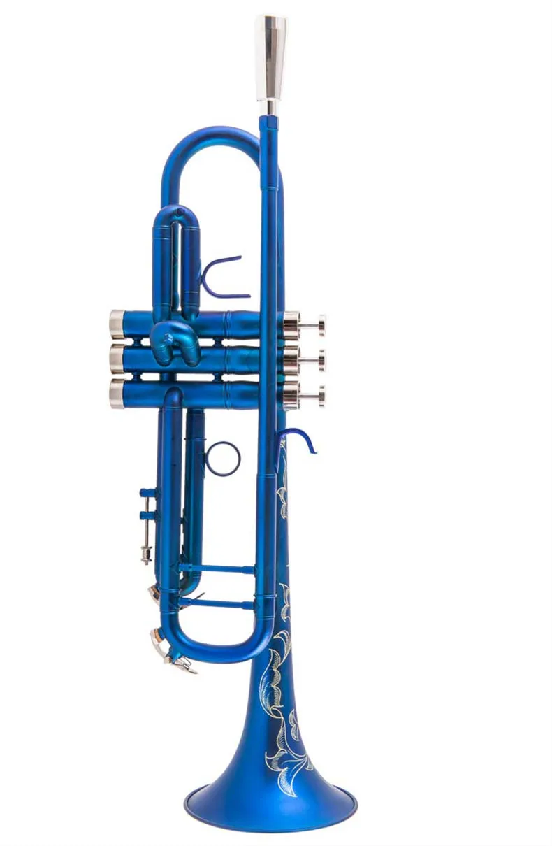 O1CN01j1Z5QW1JYorXKLrMC_!!3921261041