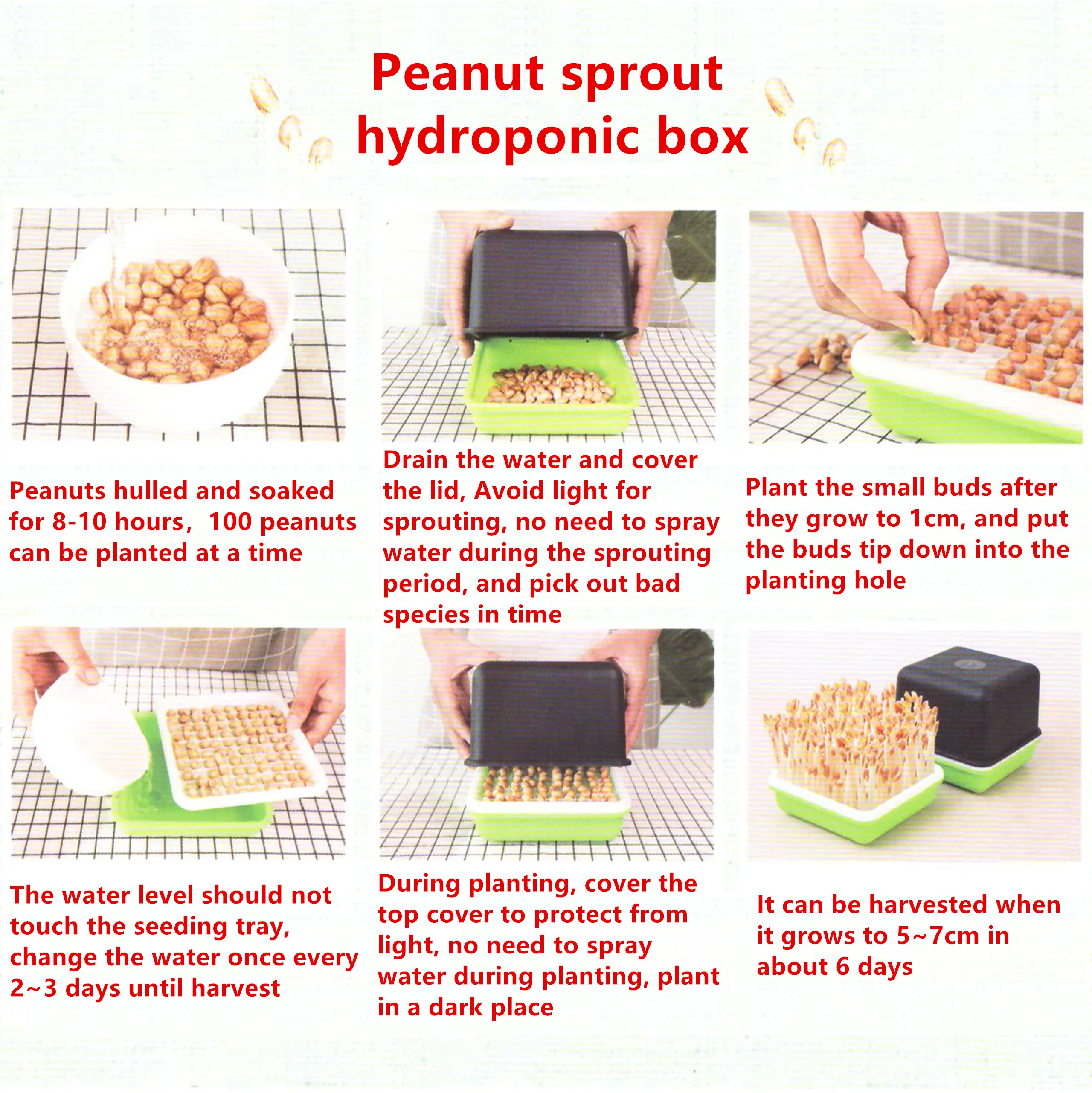 1 Pc Seed Sprout Tray Hydroponic Peanut Sprout Box Bean Pea Wheat Seedling Sprouter Tray Grow Germination Soilless Planting Pot