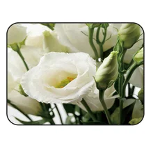 CHARMHOME заказной мягкий ковер Противоскользящий ковер белый розовый ковер для гостиной коврик для спальни украшения дома аксессуары