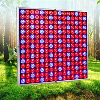 

45W LED Plant Grow Lights Red&Blue Vegetable Greenhouse Gardening Growth Lamp Plant Grow Light 310*310*35mm