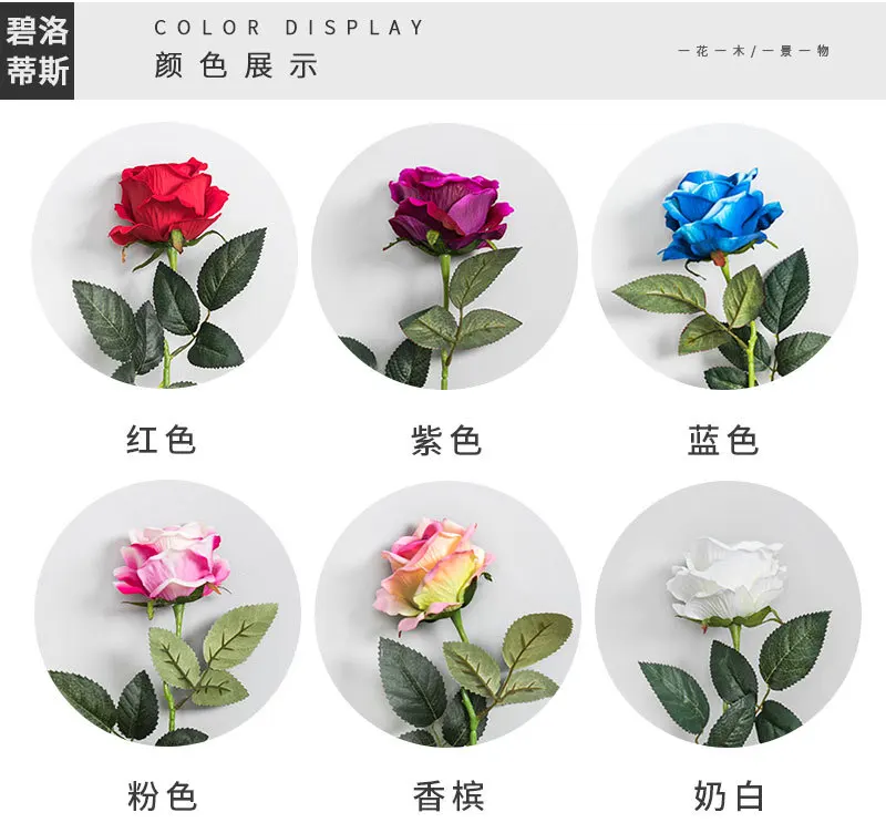 6414124033_1585245758