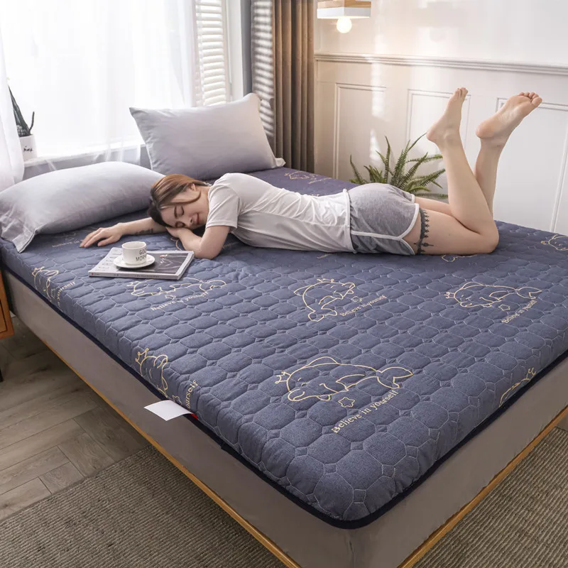 Mobilier de chambre à coucher, matelas Tatami à motif fauve, pour étudiant,  aide au sommeil du personnel, doux, King Size | AliExpress