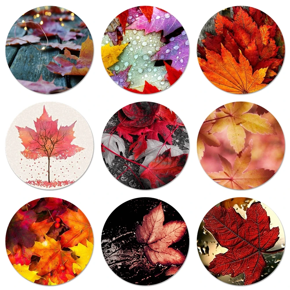 58mm Autumn fall Maple Leaves scenery Refrigerator Magnet Bottle Opener Beer Coke Sue | Дом и сад