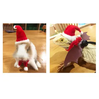 

2020 New Bearded Dragon Lizard Santa Hat with Elastic Chin Strap+Scarf+Traction Rope Christmas Costume Set Xmas Reptile Apparel