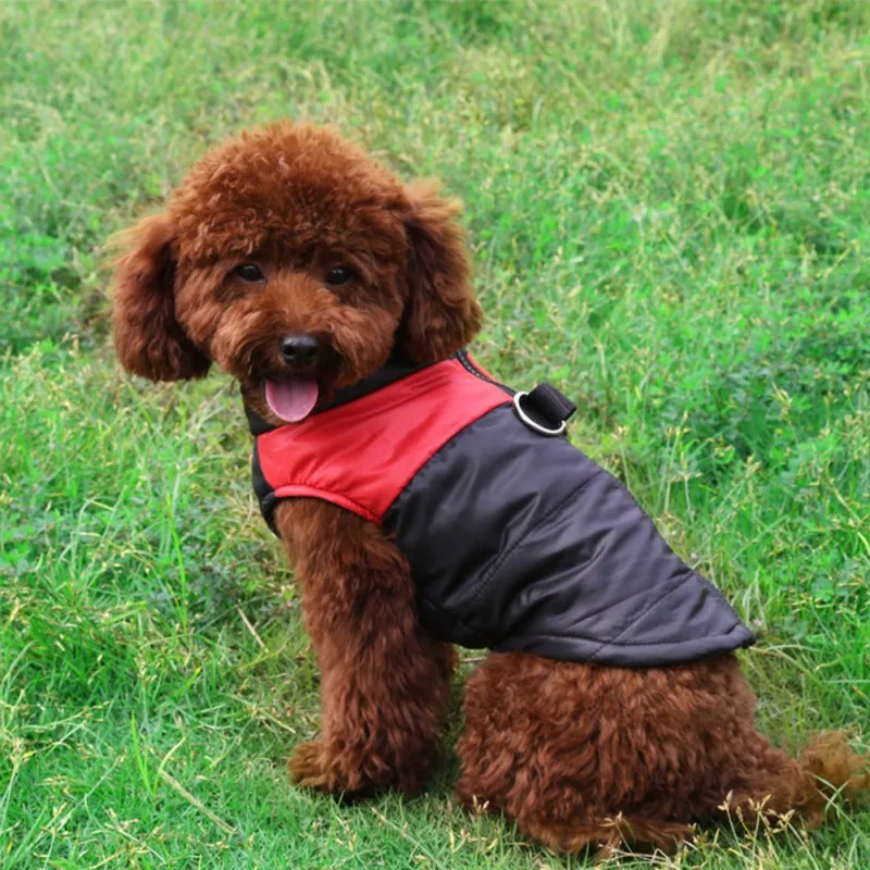 Домашняя собака теплая куртка жилет Чихуахуа теплая зимняя одежда для собак водонепроницаемые теплые пальто, куртки для маленьких средних и больших собак s-xl