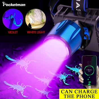 

8000LM UV LED Purple Headlamp 395nm Sensor Headlight Torch Battery built-in USB Charger Violet Head Catching Scorption Torch