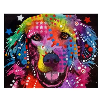 

DIY Oil Painting Paint By Numbers Kits with Brushes Acrylics Painting Kits on C