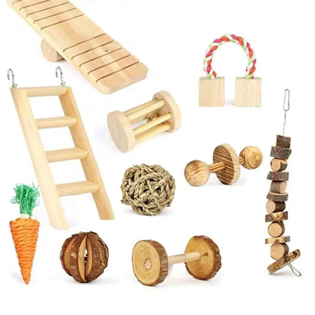 10Pcs Wood Carrot Climbing Ladder Guinea Pig Chinchilla Rabbit Chew Teether Toys