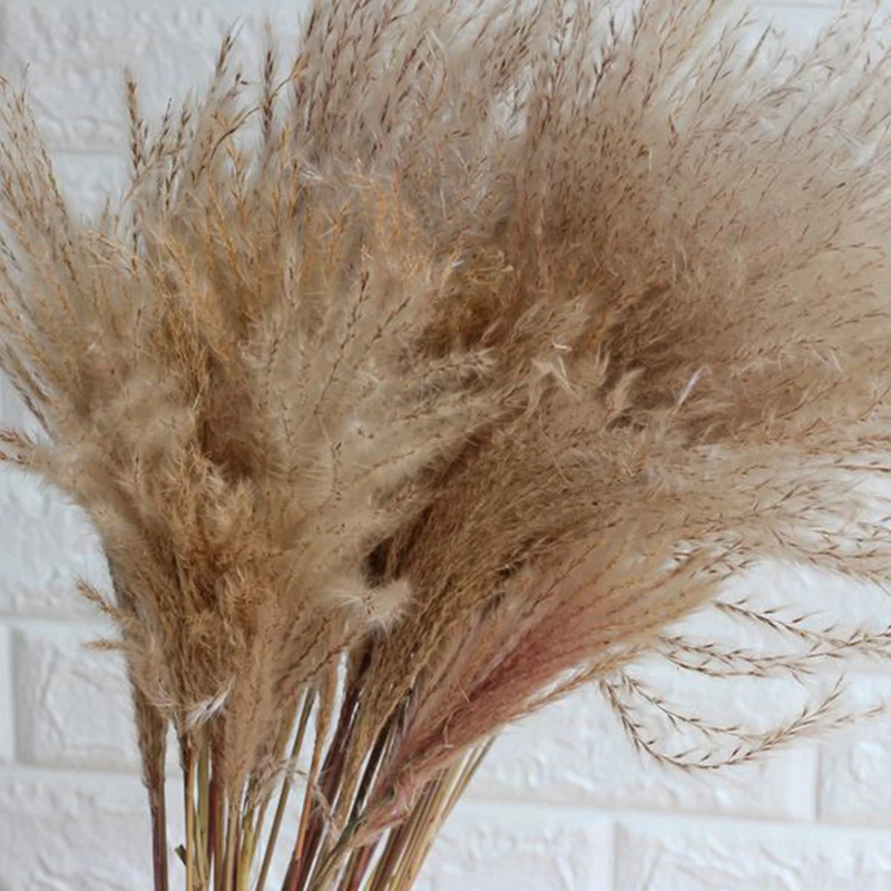 12214825302_1269237941