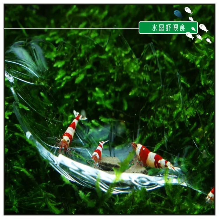 TB2WZ.1bu7EWeJjSZFMXXX00FXa_!!756162672