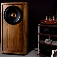 M-006 рекомендуемый cox-15 дюймов коаксиальный fever hifi высококачественный пассивный динамик аудио пол коробка pk Kendall