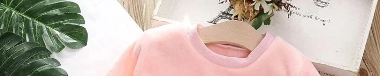 Autumn Winter Children's Clothing Suits Baby Girl Clothes Baby Boy Clothes Plush Long-sleeved Top and Pants Boys Clothes Autumn Winter Children's Clothing Suits Baby Girl Clothes Baby Boy Clothes Plush Long-sleeved Top and Pants Boys Clothes