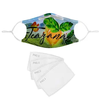 

new fashion 4Pcs Filter Gas Masks Women Men Anti-dust Masks Washable Reusable Face Mask Non-disposable Moth Mask