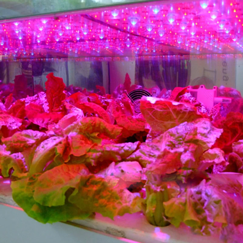 

Growing Lamps LED Grow Light 15W AC85-265V Full Spectrum Plant Lighting Fitolampy For Plants Flowers Seedling Cultivation