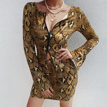 

Sexy Bodycon Snake Print 2 Piece Set Skirt Women Long Sleeve High Neck Tops Autumn Party Mini Skirt 2 Piece Outfits