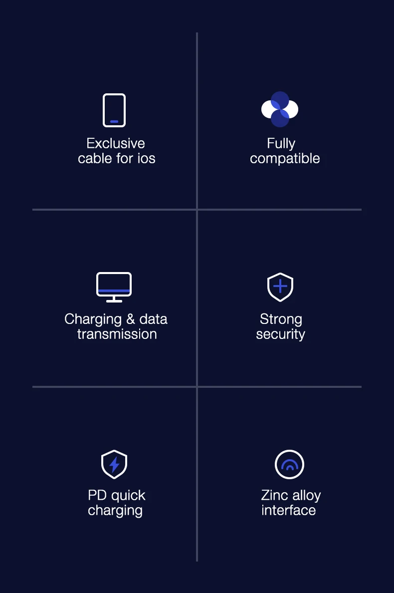 USB C to for Lightning Cable (2)