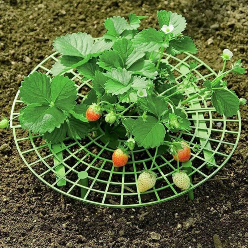 5 шт./лот подставка для клубники держатель рамы балкона стойка посадки фруктов