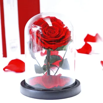 

Christmas Eve Gifts Beauty And The Beast Rose In Glass Dome Valentine's Gifts For Girlfriend LED Lamps Real Rose Led Ornaments