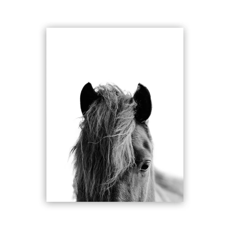 Black-and-White-Icelandic-Horse-Posters-and-Prints-Farmhouse-Rustic-Decor-Scandinavian-Wall-Art-Canvas-Painting (5)