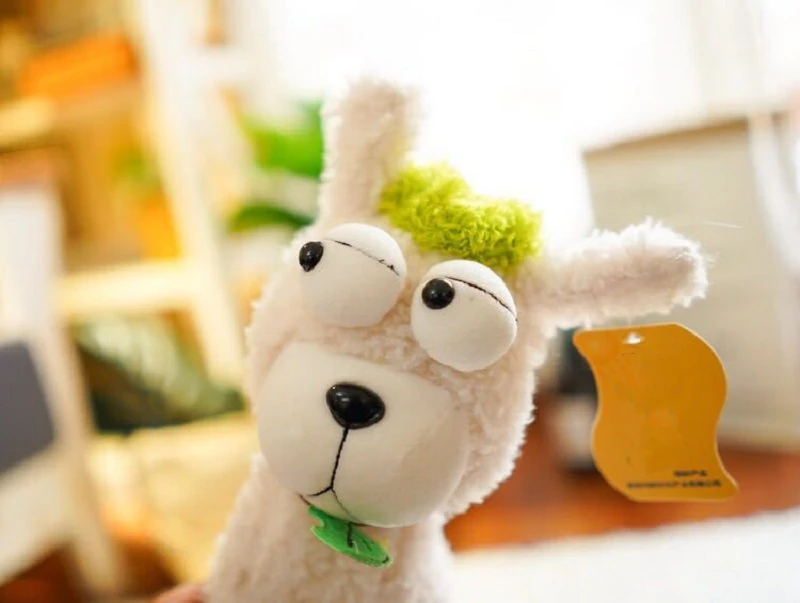 11491708393_1369725111