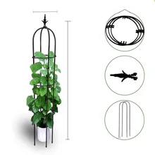 Climbing Vine Bracket Botany Arbor Chinese Rose Clematis Lotus Climb Group Close Flower Rack Balcony Support Frame