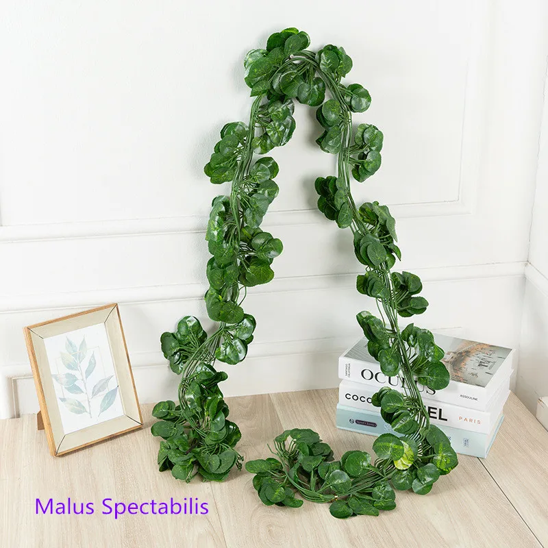 006 Malus spectabilis