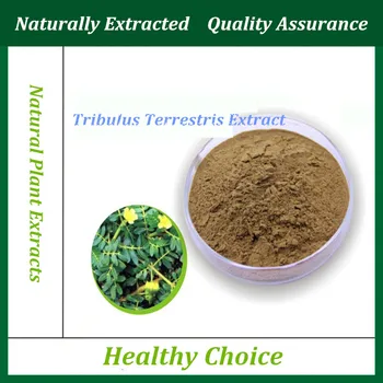 

100% Natural Plant Healthy organic tribulus terrestris extract tribulus terrestris extract Extract tribulus terrestris saponins
