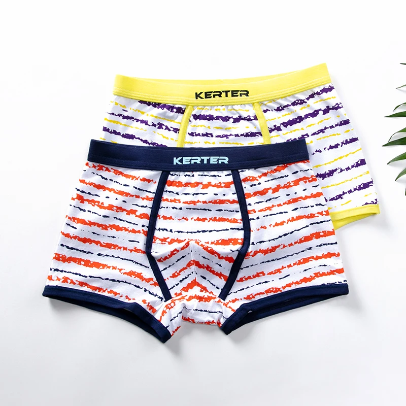 2pcs 08 Нижнее белье из органического хлопка для мальчиков, 2 шт./Партия Детские трусы с рисунком динозавра детские трусы-боксеры трусики для подростков От 2 до 16 лет - Цвет: 2pcs 08