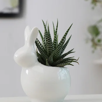 

Creative Flowerpot Ceramic Basin Succulent Plant Potted Acessories for Home