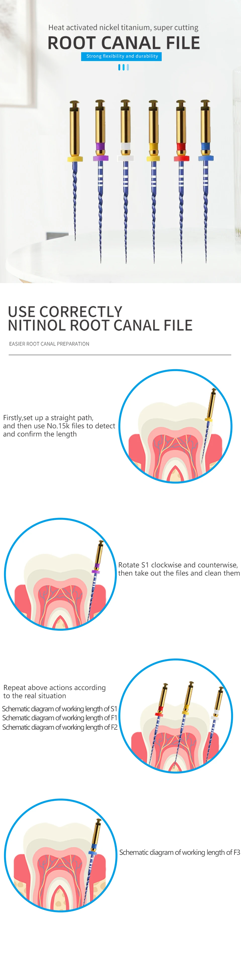 Arquivos Do Canal Da Raiz dentária